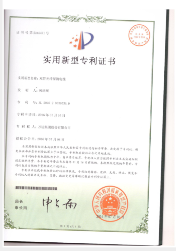 雙管光纖探測電纜